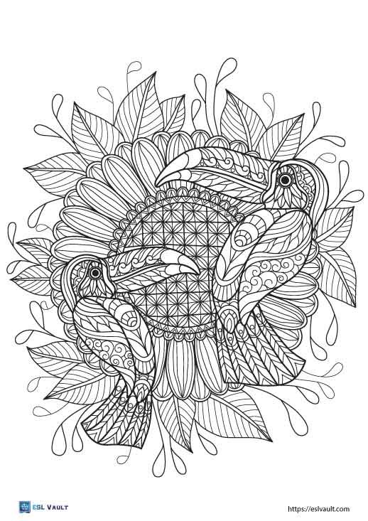 printable toucan coloring page