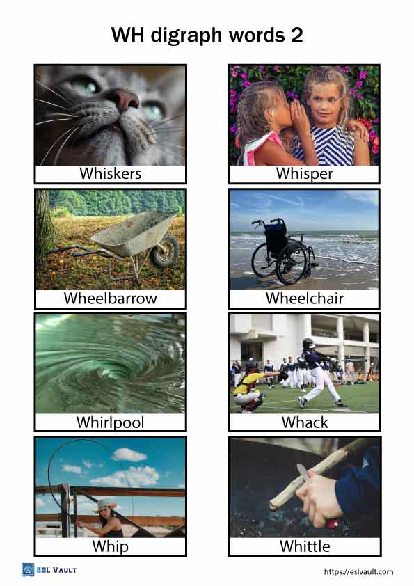 wh digraph words with pictures 2