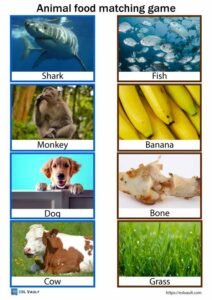 animal food matching game