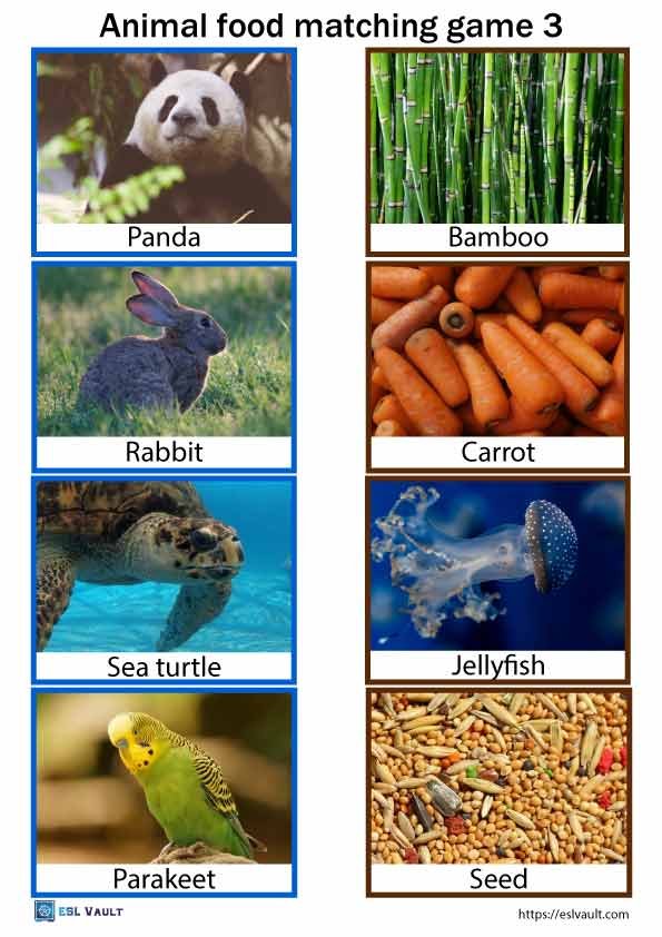 animal food matching game pdf