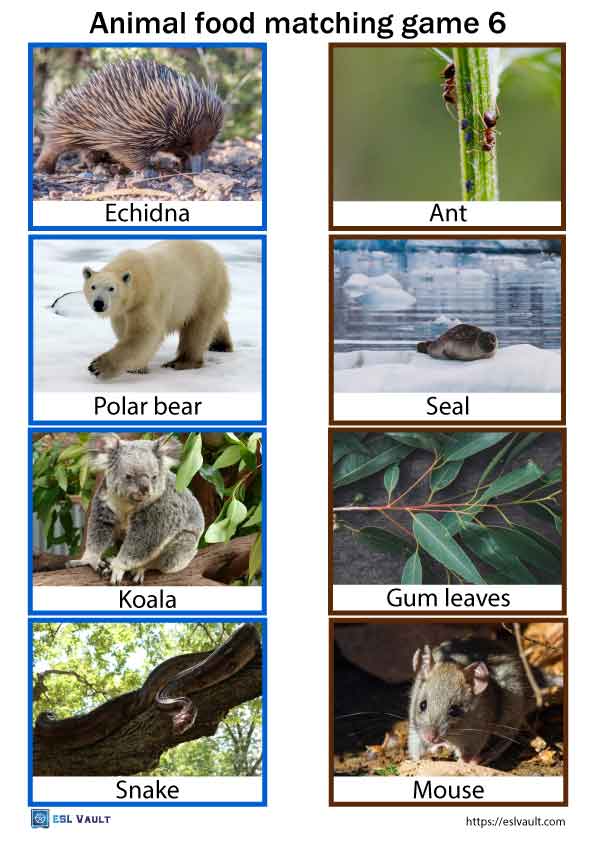 Animal food matching game PDFs with 48 free cards - ESL Vault