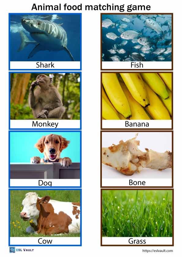 animal food matching game