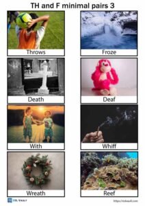 TH and F minimal pairs with 24 free picture cards - ESL Vault