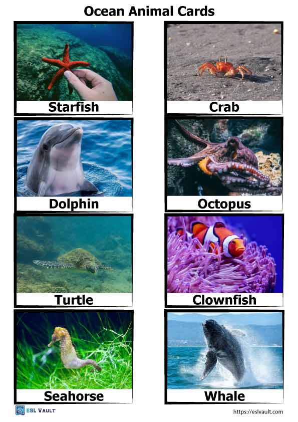 40 free PDF printable ocean animal cards - ESL Vault