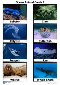 40 free PDF printable ocean animal cards - ESL Vault