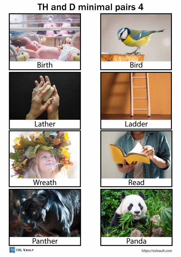 th and d minimal pairs pictures 4