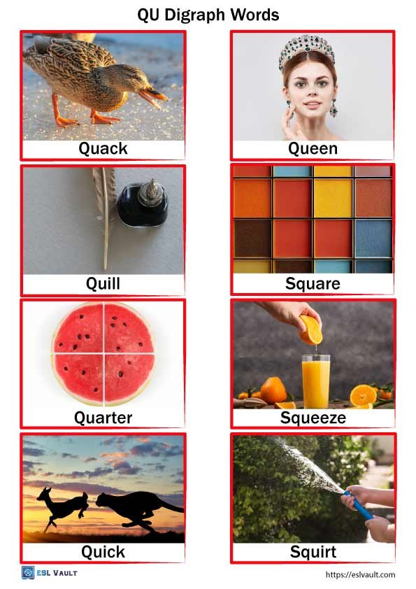 32 free qu words with pictures esl vault