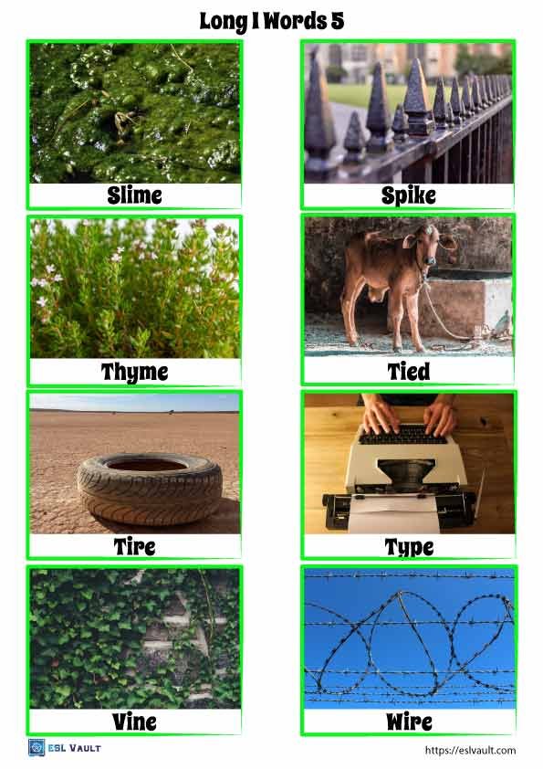 long i words with pictures 5