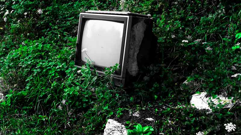an old television in a forest