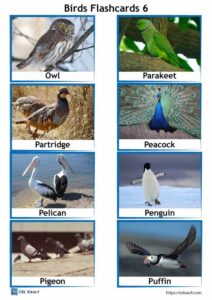 64 free printable PDF birds flashcards - ESL Vault