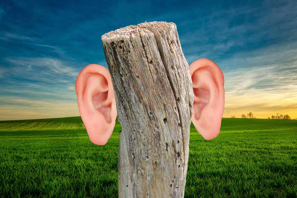 deaf as a post idiom