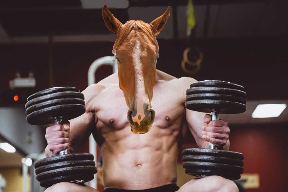 as strong as a horse
