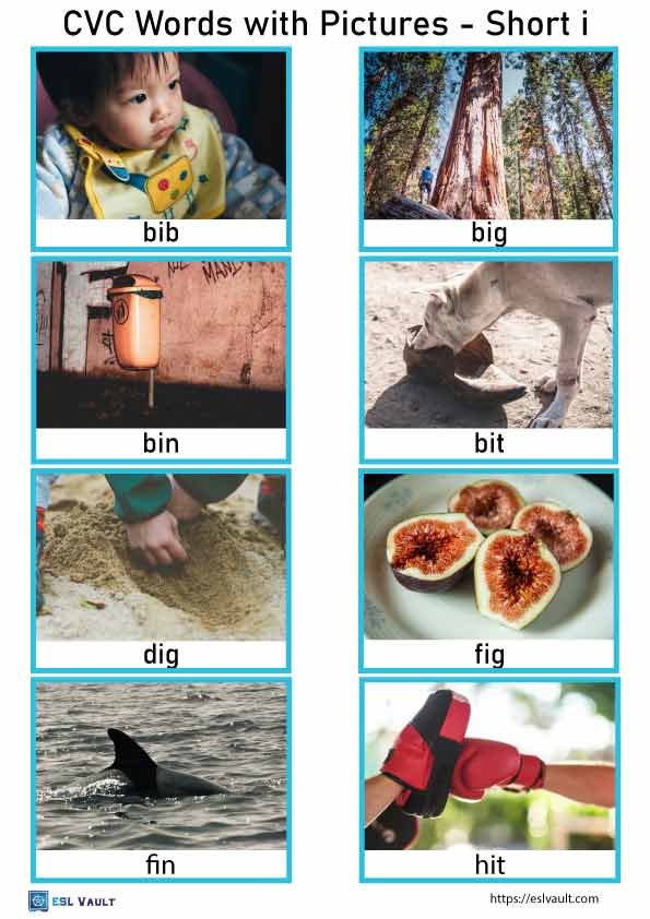 cvc words with pictures 6