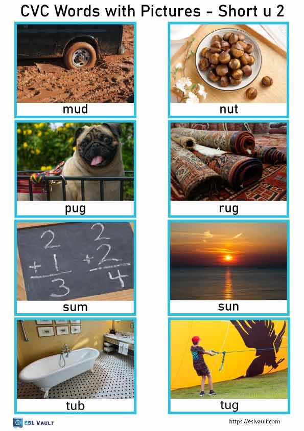 free cvc words with pictures 11