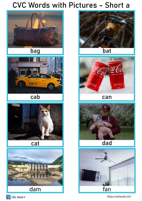 cvc words with pictures pdf 1