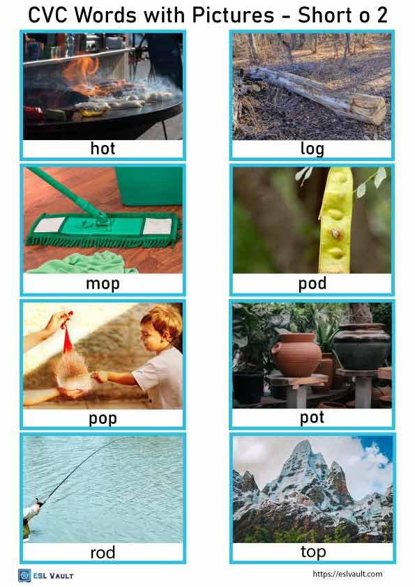 free cvc words with pictures 9