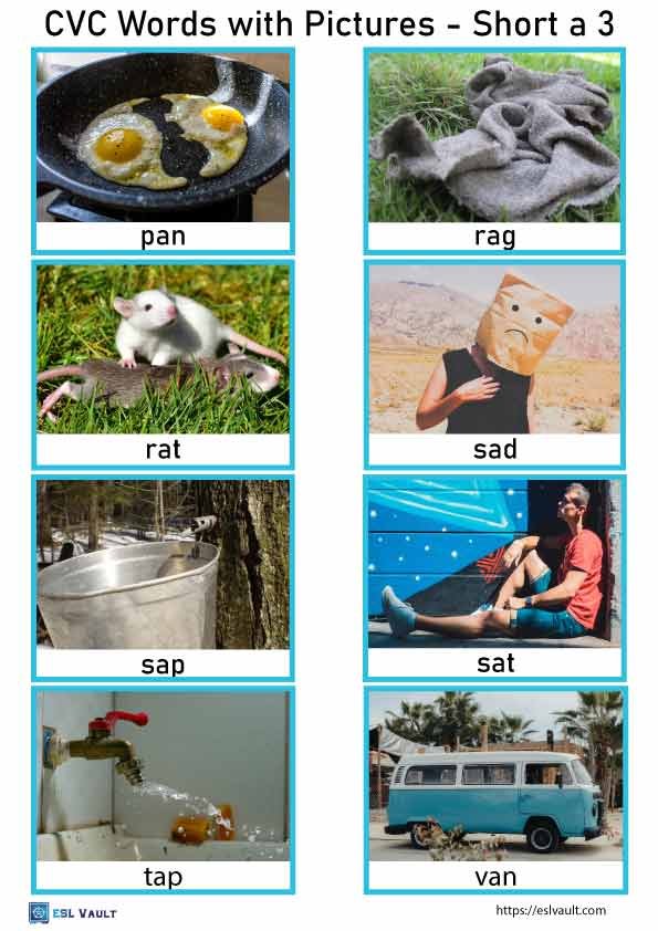 free cvc words with pictures short a 3