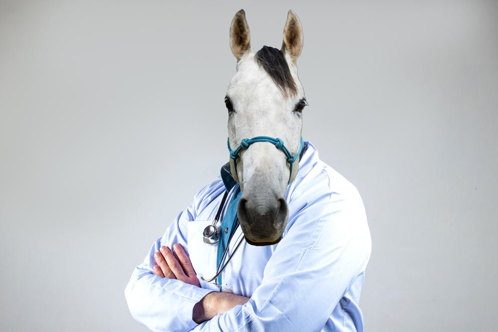 idiom horse doctor