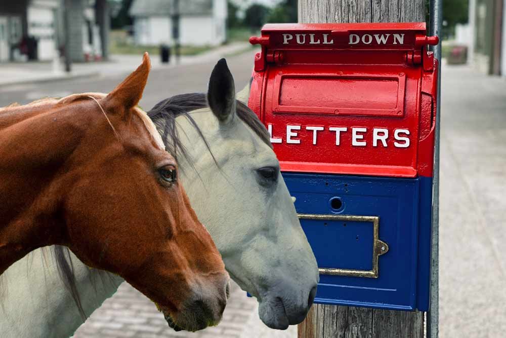 pipped at the post horse idiom