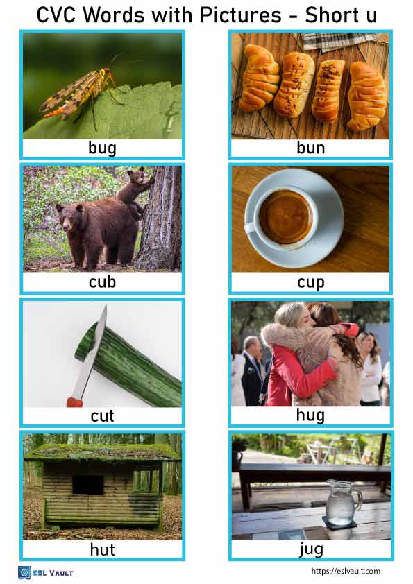 88 free printable CVC words with pictures - ESL Vault