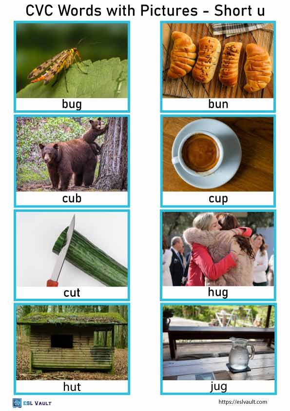 short u free cvc words with pictures 10