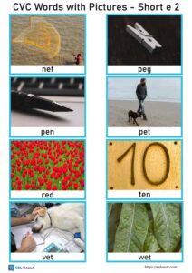 88 free printable CVC words with pictures - ESL Vault