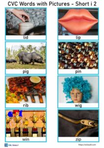 88 free printable CVC words with pictures - ESL Vault