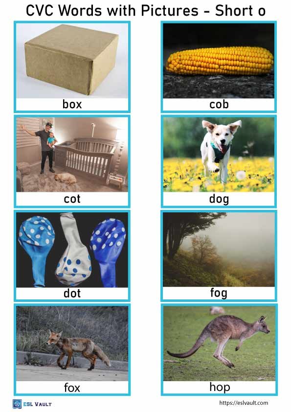 short o cvc words with pictures 8