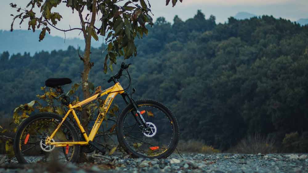 a bicycle leaning against a tree