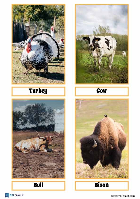 farm animals flashcards free printable 3
