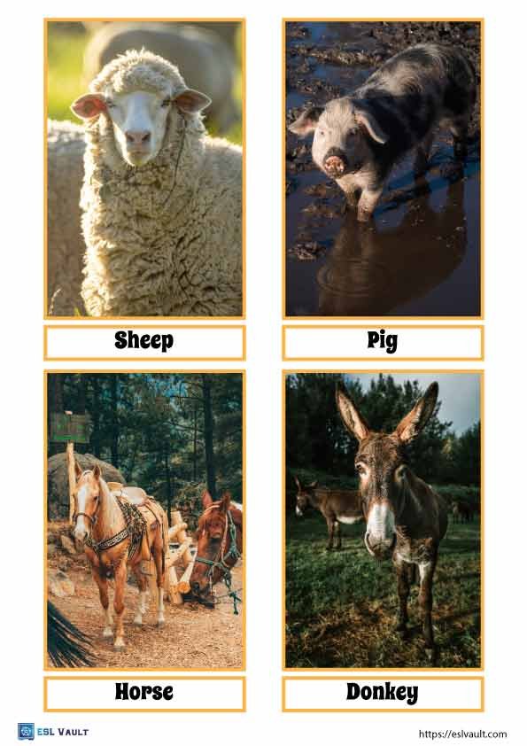 farm animals flashcards printable 1