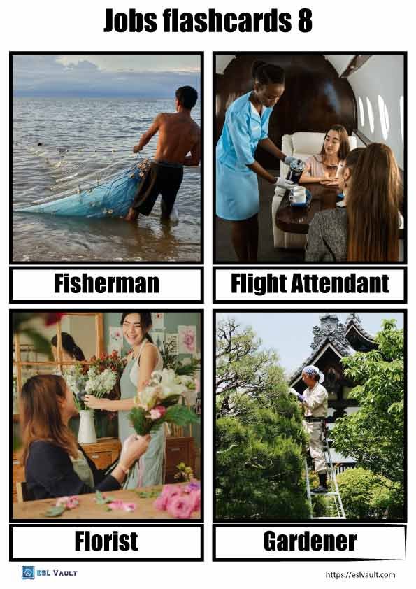 occupations flashcards pdf 8