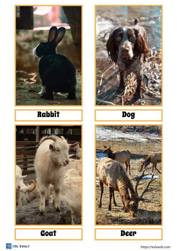 real farm animals flashcards pdf 4