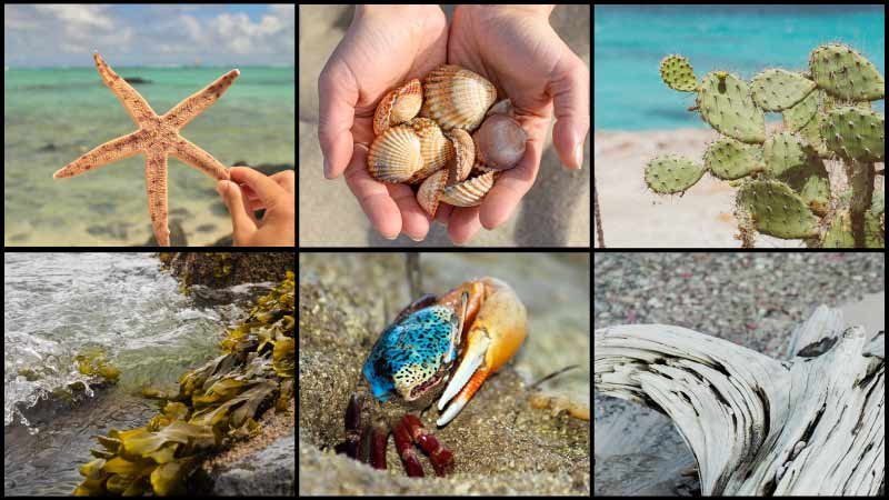 things at the beach 1