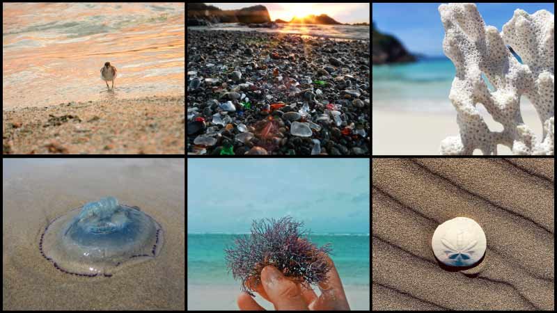 things at the beach 2