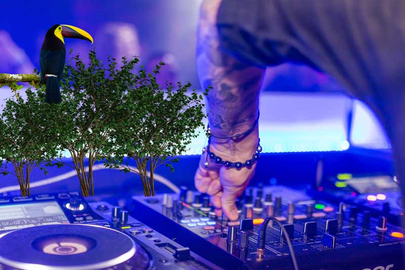 beating around the bush DJ