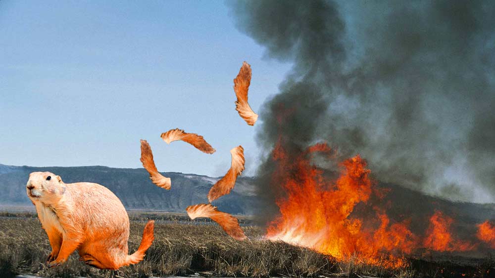 faster than a prairie fire with a tailwind