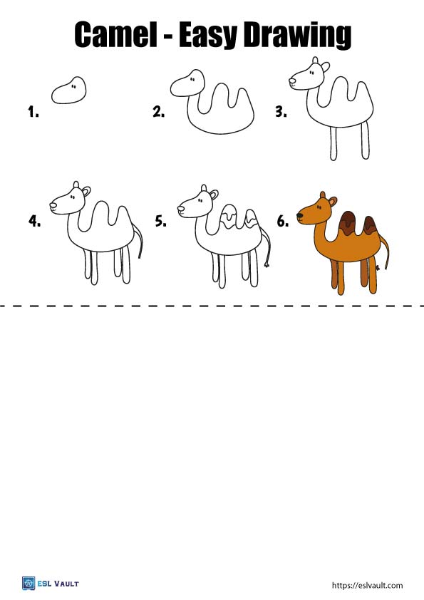 How to Draw Camel Bactrian Easy - YouTube