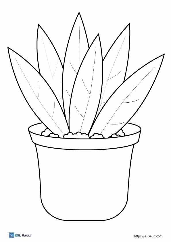 easy plant coloring pages