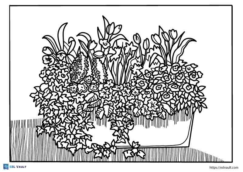 20 Free printable plant coloring pages - ESL Vault