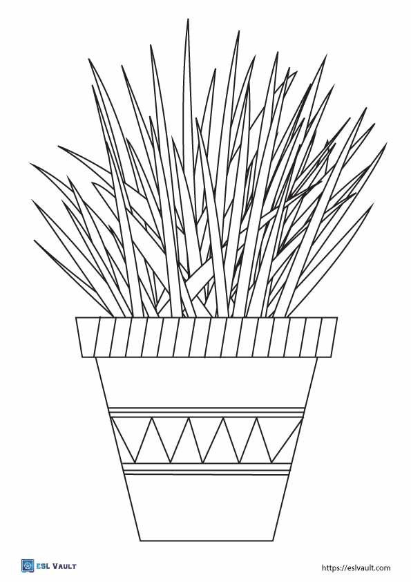 house plant coloring pages