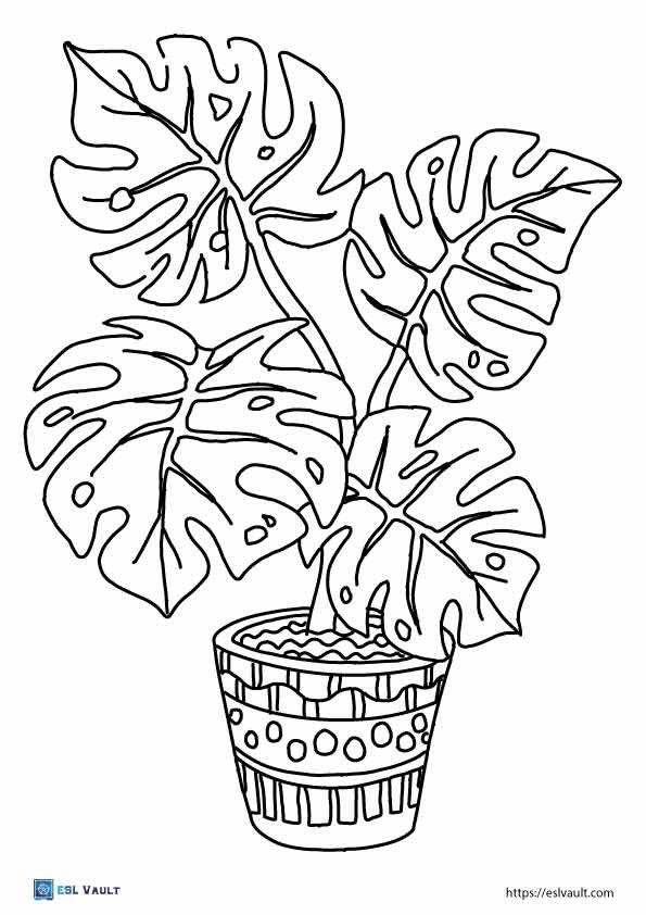 monstera plant coloring pages