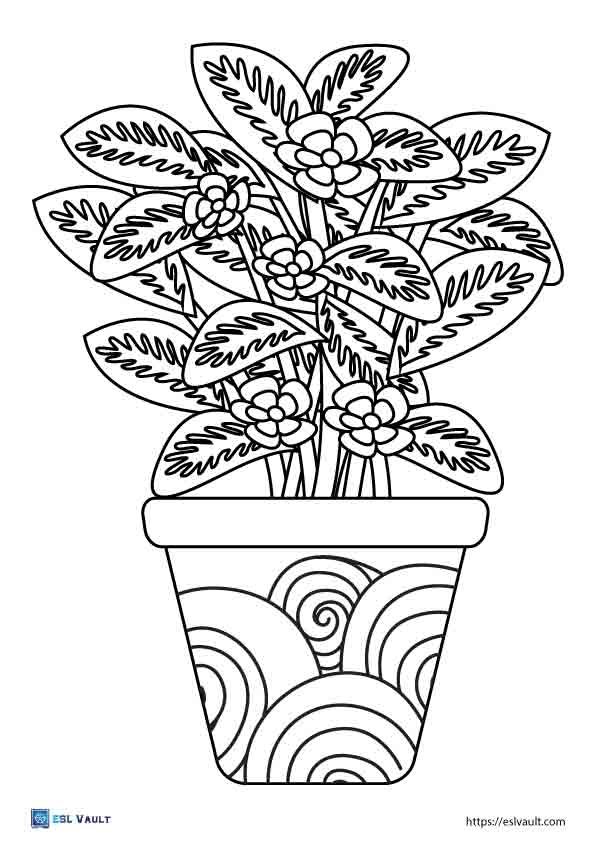 plant coloring pages pdf