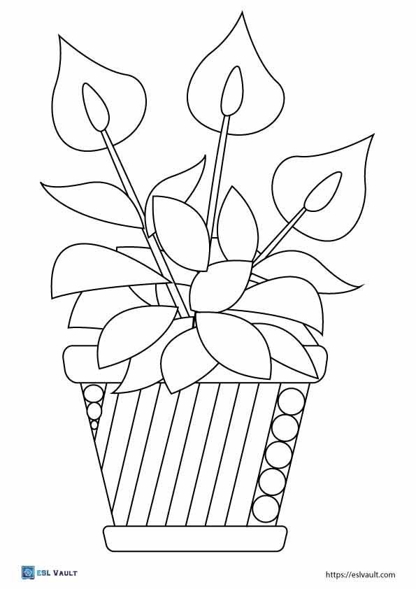 plant coloring pages printable