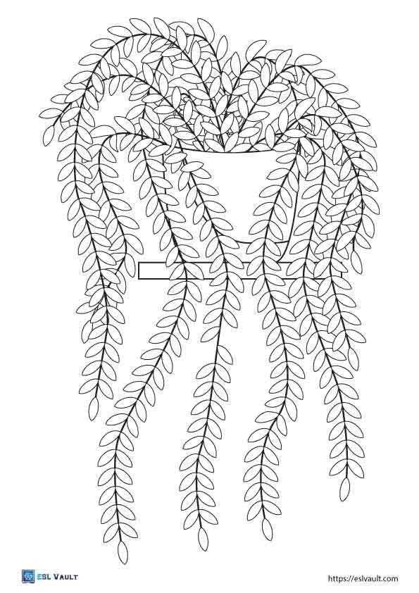 printable plant coloring pages 2