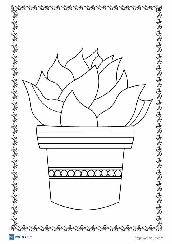 succulent plant coloring page