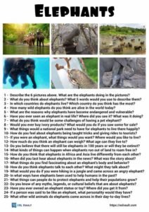 25 elephants conversation questions