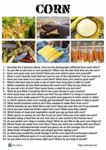 25 questions about corn