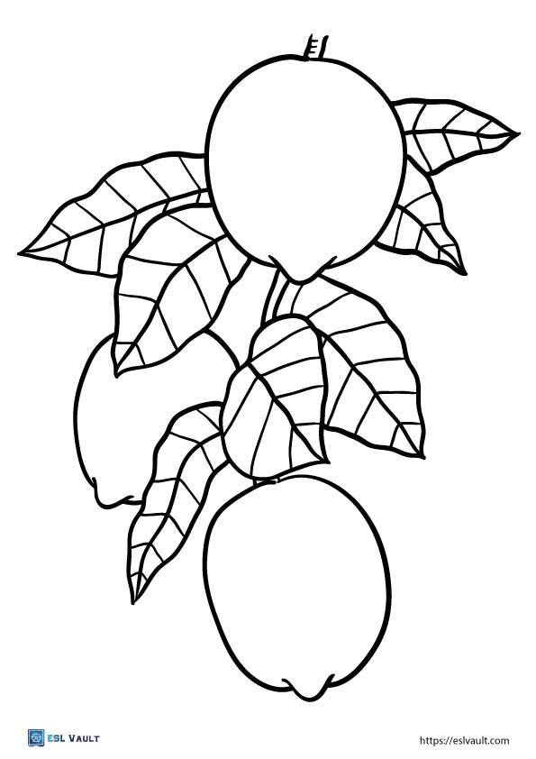 tree lemon coloring pages