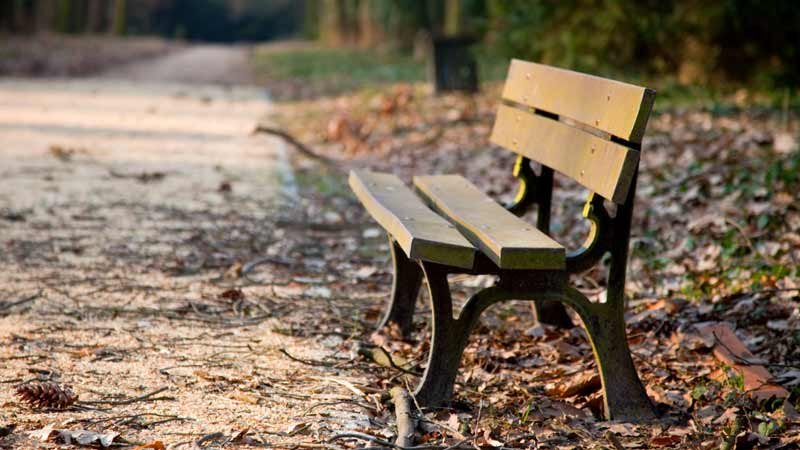 an empty park bench